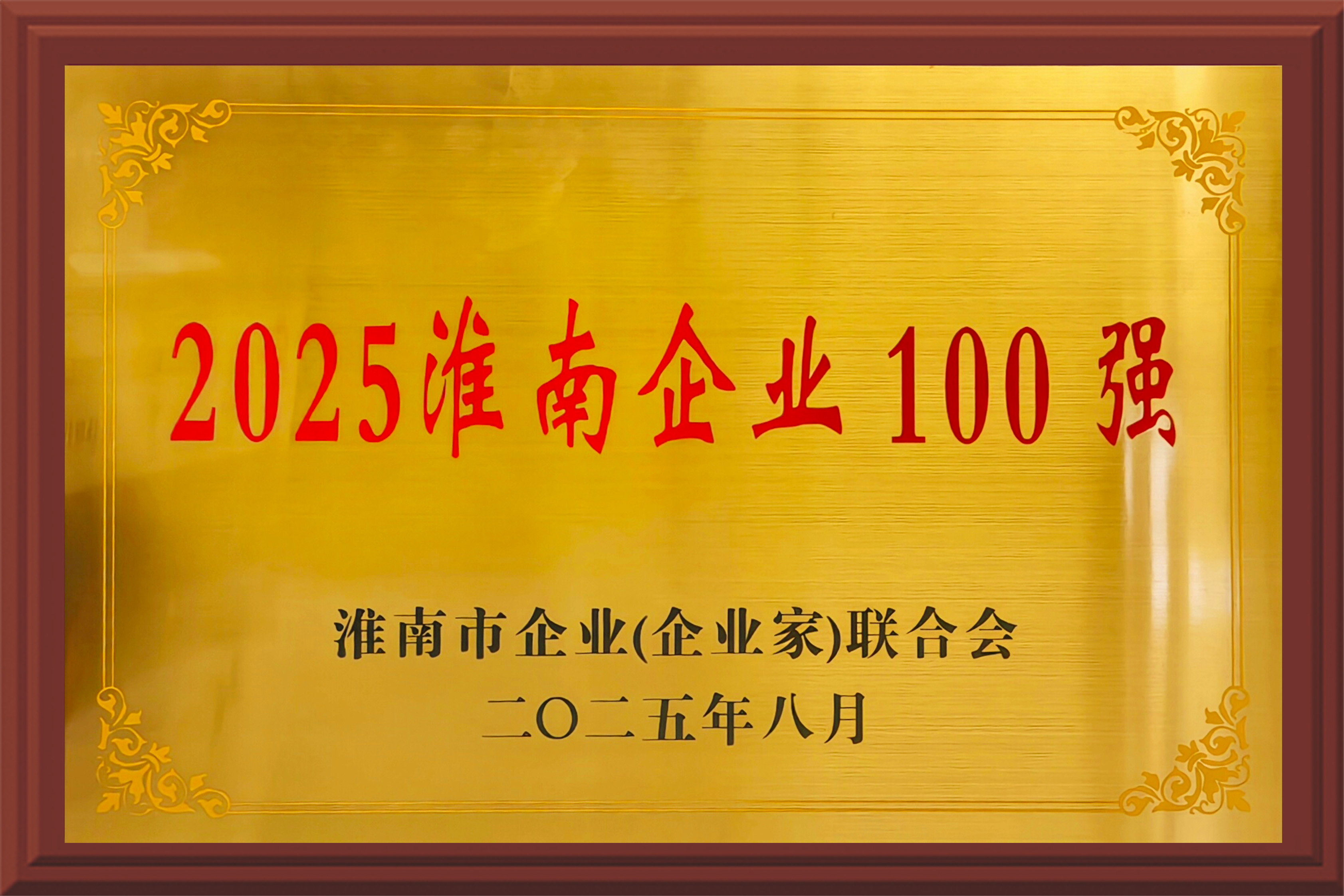 2025淮南企业100强