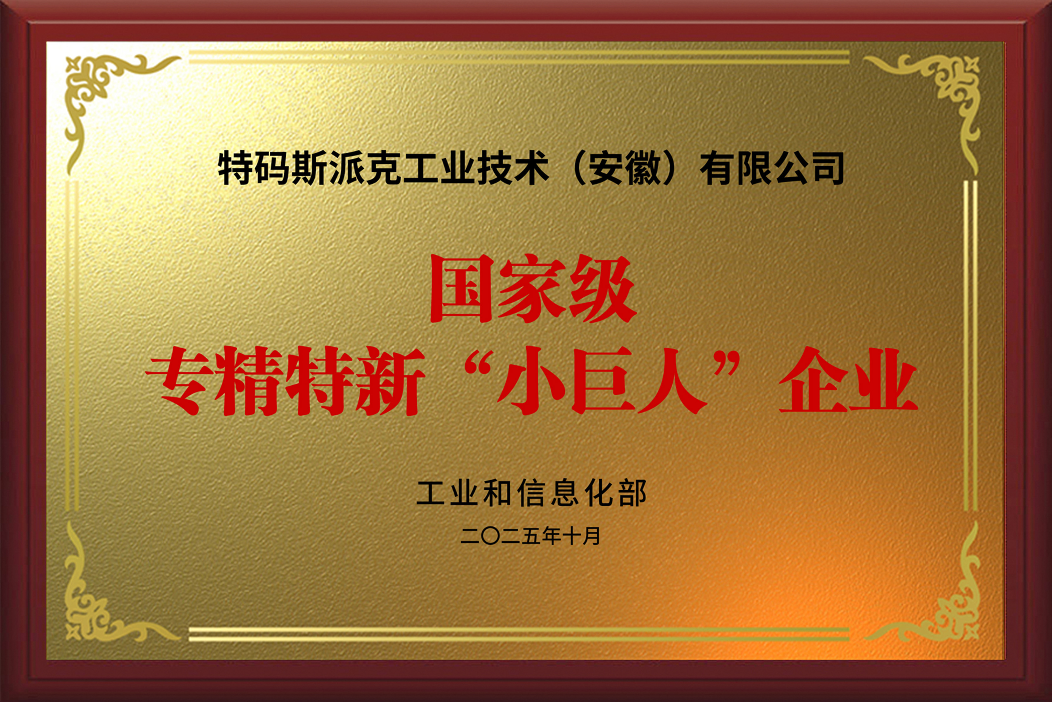 国家级专精特新&ldquo;小巨人&rdquo;企业