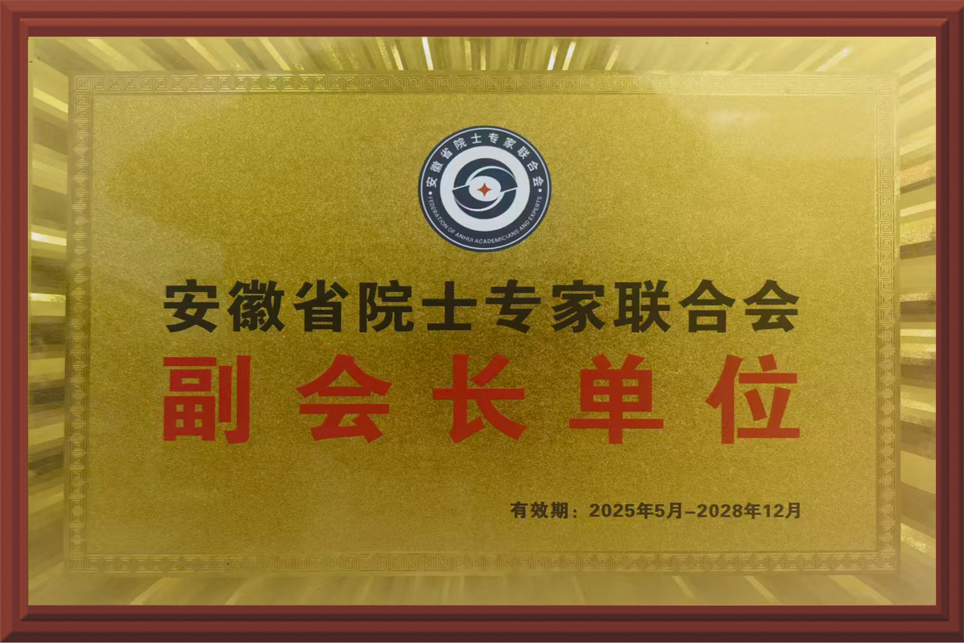 安徽省院士专家联合会副会长单位